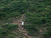 P4280142.JPG (306642 bytes)
