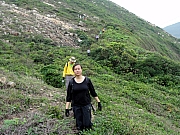 P4280150.JPG (358573 bytes)