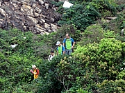 P4280153.JPG (363758 bytes)