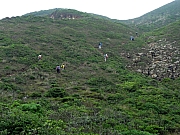 P4280206.JPG (293661 bytes)