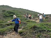 P4280218.JPG (262493 bytes)