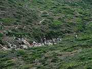 P4280221.JPG (318376 bytes)