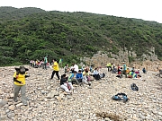 P4280246.JPG (310346 bytes)