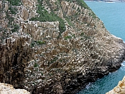 P4280258.JPG (347370 bytes)