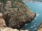 P4280295.JPG (316834 bytes)