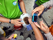 P5190029.JPG (261763 bytes)