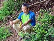 P5190030.JPG (321496 bytes)