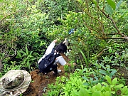 P5190068.JPG (411118 bytes)