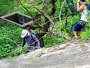 P5190072.JPG (272518 bytes)