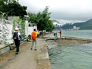 P5260072.JPG (250259 bytes)