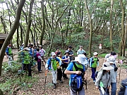 P6020015.JPG (357107 bytes)