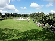 P6020020.JPG (229259 bytes)