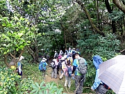 P6020106.JPG (395268 bytes)