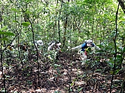 P6090004.JPG (450291 bytes)
