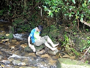 P6090035.JPG (323071 bytes)