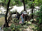 P6090038.JPG (357580 bytes)