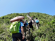 P6300031.JPG (290856 bytes)