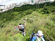 P7070009.JPG (376445 bytes)