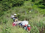 P7070010.JPG (400798 bytes)