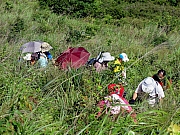 P7070013.JPG (406091 bytes)