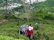 P7070044.JPG (350299 bytes)