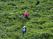 P7070053.JPG (400263 bytes)
