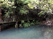 P8040020.JPG (306629 bytes)
