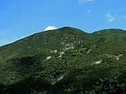 P8040038.JPG (214314 bytes)