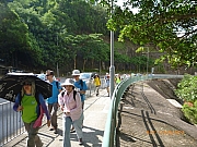 pic_Wai_008.JPG (295080 bytes)