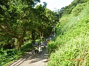 pic_Wai_010.JPG (358950 bytes)