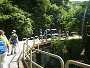 pic_Wai_030.JPG (295210 bytes)