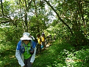 pic_Wai_034.JPG (367614 bytes)