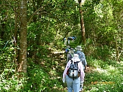 pic_Wai_035.JPG (386394 bytes)