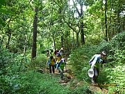 pic_Wai_036.JPG (361849 bytes)