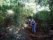 pic_Wai_040.JPG (377648 bytes)