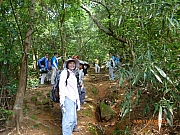 pic_Wai_042.JPG (335964 bytes)