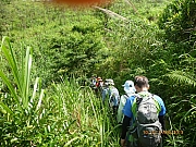 pic_Wai_052.JPG (365625 bytes)
