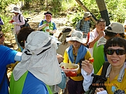 pic_Wai_069.JPG (249054 bytes)