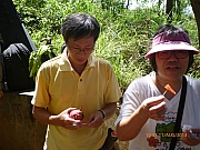 pic_Wai_070.JPG (234637 bytes)