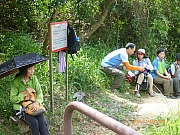 pic_Wai_078.JPG (320132 bytes)