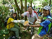pic_Wai_080.JPG (289146 bytes)