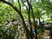 pic_Wai_082.JPG (376576 bytes)