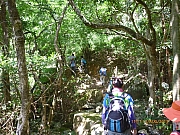 pic_Wai_094.JPG (371795 bytes)