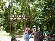 pic_Wai_098.JPG (368185 bytes)