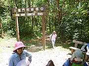 pic_Wai_099.JPG (328697 bytes)