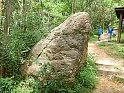 pic_Wai_109.JPG (355395 bytes)