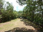 pic_Wai_116.JPG (344761 bytes)