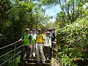 pic_Wai_119.JPG (368335 bytes)