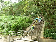 pic_Wai_120.JPG (343852 bytes)