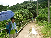 pic_Wai_121.JPG (322231 bytes)